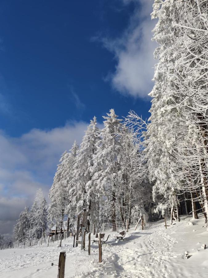 Ferienwohnung Landsmann Winterberg Kültér fotó